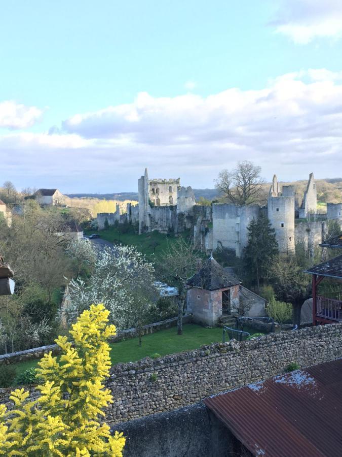 Chez Fred Avec Vue Sur Le Chateau Angles-sur-l'Anglin Экстерьер фото