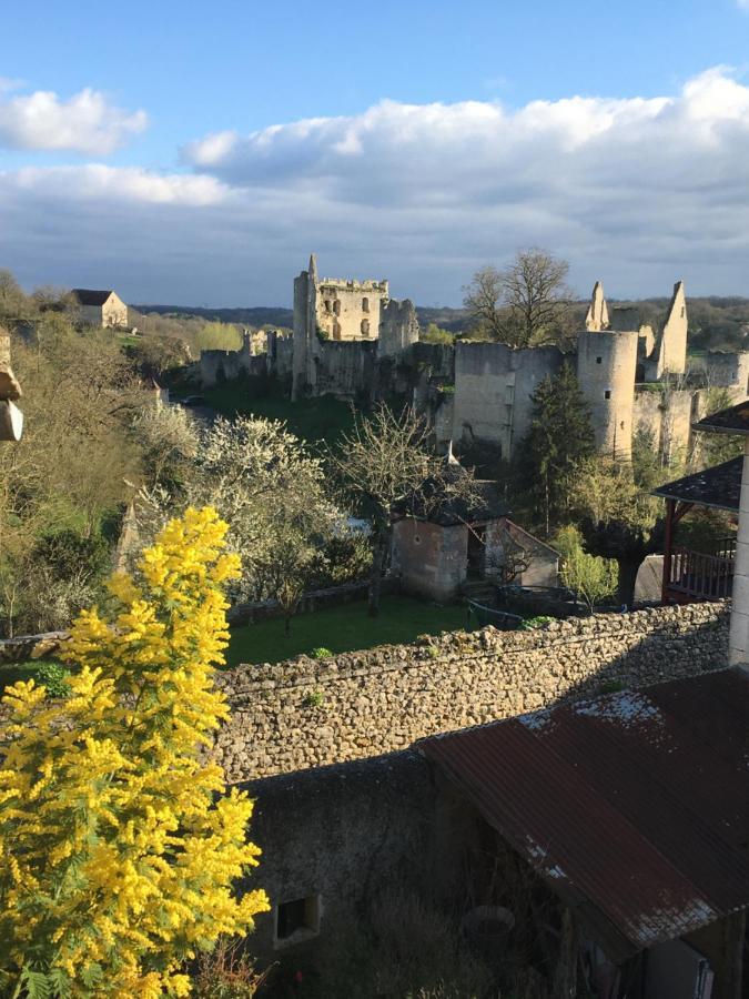 Chez Fred Avec Vue Sur Le Chateau Angles-sur-l'Anglin Экстерьер фото